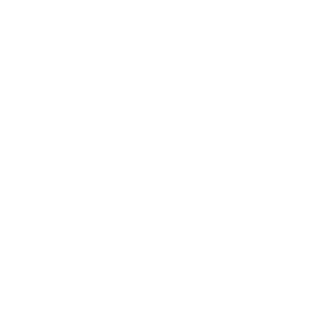 bg-flower-01